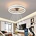 Wildcat Deckenventilator mit Beleuchtung, LED Deckenlampe mit Ventilator 48W Deckenleuchte, 3 Farbtemperatur (3000-6500K) & 6 Geschwindigkeiten Ventilatorlicht, Leise Deckenventilator Licht