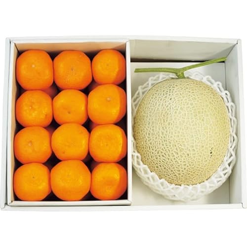 2025年お歳暮特別企画 国産マスクメロン1玉・和歌山県産みかん