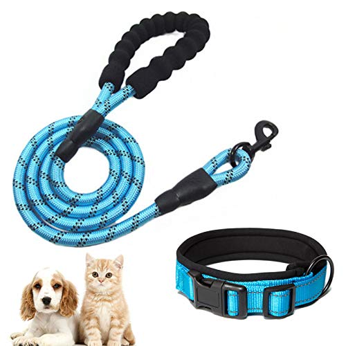 Collar de Perro de poliéster Impermeable y Reflectante. Correa con Hebilla Ajustable y cómoda asa para el Paseo y adiestramiento de Perros pequeños, medianos y Grandes Cover