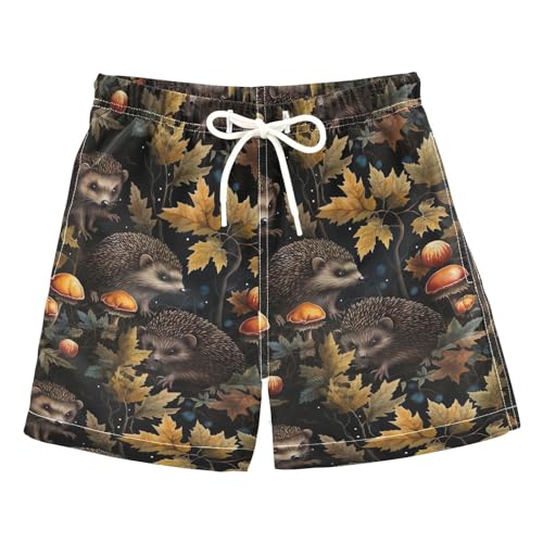 Boys Swim Trunks Cute Hedgehog Toddler Swim Shorts Little Boys Bathing Suit Swimsuit Toddler Boy Swimwear 2T 202b3347