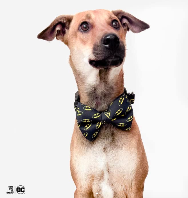 TDIT X�DC Batman Dog Bow Tie with Adjustable Dog Collar (Size Small) (B08ZB4J3Q1) Amazon Price History, Amazon Price Tracker