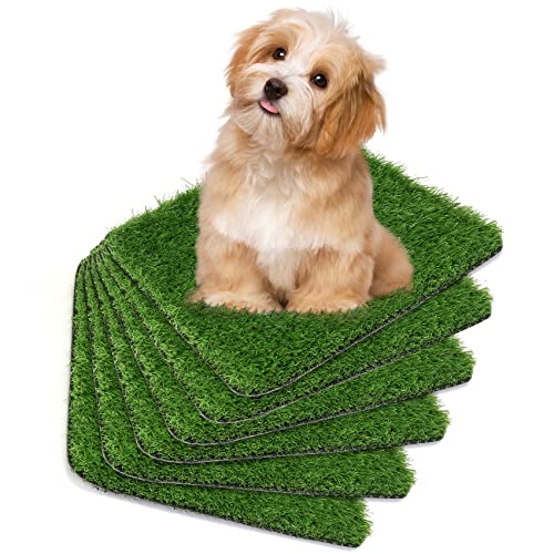 10 Best Grass Potty Pads For Dogs