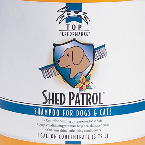 Top Performance Shed Patrol De-Shedding Dog And Cat Shampoo, 1-Gallon #TOP1