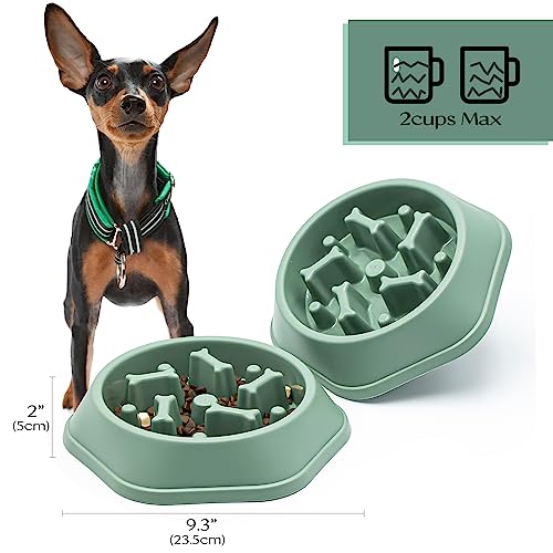 Dog Bowl Slow Feeder Dog Bowl Bloat Stop Dog Food Bowl Interactive Puzzle Healthy Eating Bowl (Green) - Image 3