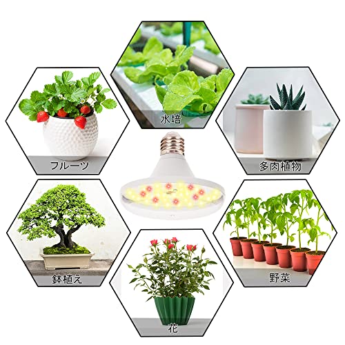 GREENGROWING led電球植物育成ライト E26 48 ledライト GG-UFO bulb 20w の商品画像 2