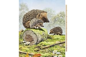 Digital Cotton Print Fabric Panel: Hedgehogs
