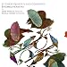 J.F. Fasch: Quartets and Concertos