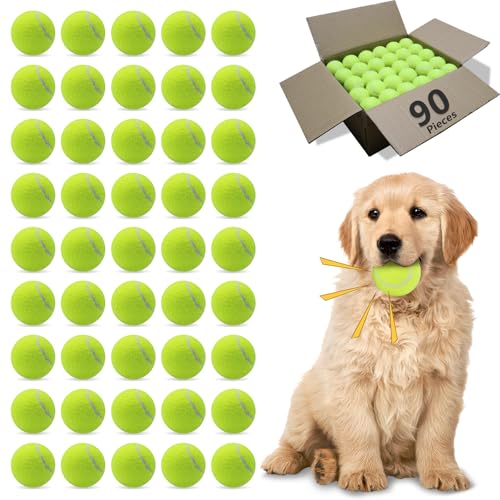 JUNENTER pejX{[ 20pbN 2.5C`   ejX{[ tFb`GNTTCYp VRS  p{[ g[jOp S (}`J[ 2.5C`)