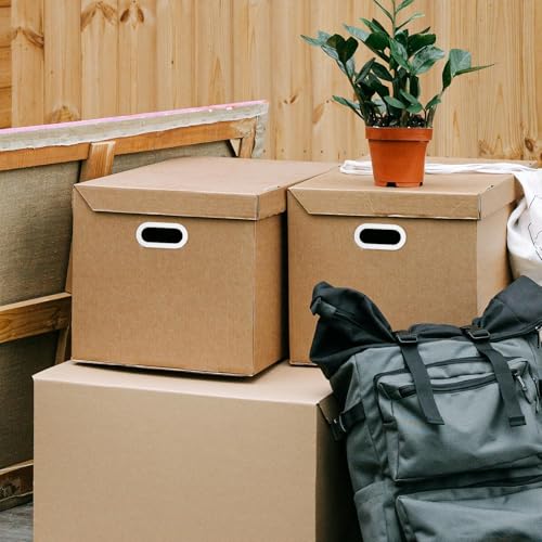 Poignées transparentes pour boîtes de qualité supérieure x50