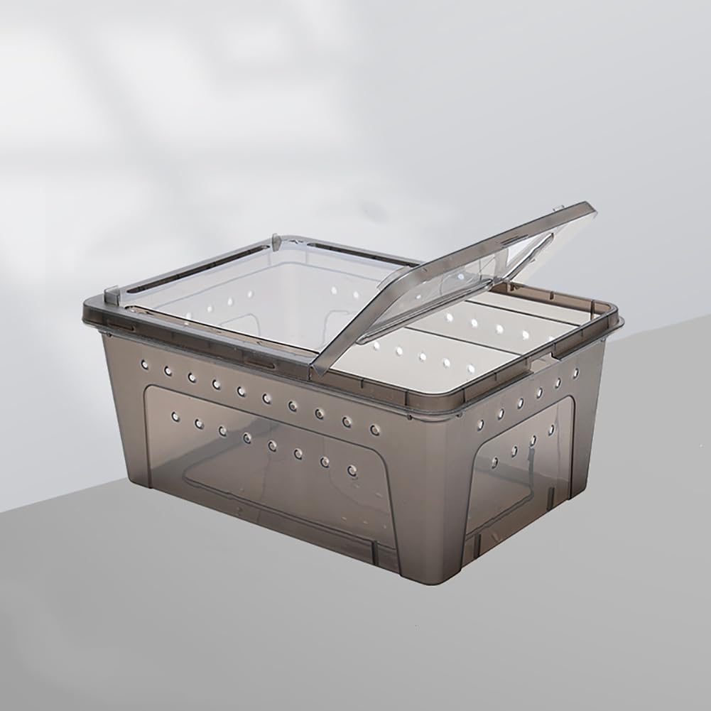 Reptile PC Terrarium, Zestaw startowy zbiornika płazów, zbiornik gadów w stosunku do wielu powtórzeń domowych gospodarstw domowych, żółwia terrarium na jaszczurki, rogowe żaby,L brown