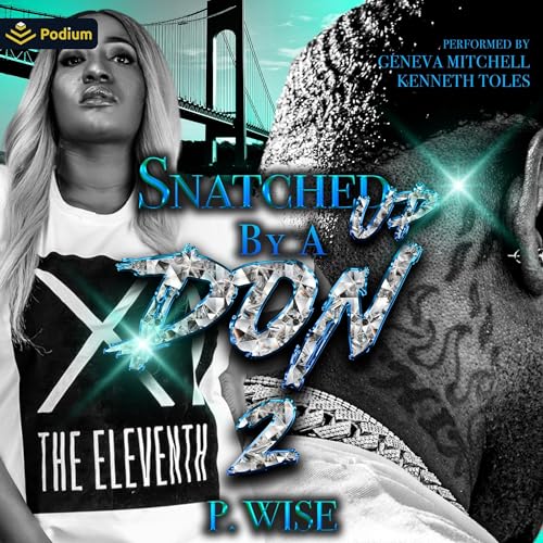 Snatched Up by a Don 2 Audiolivro Por P. Wise capa