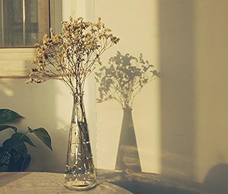 Amazon Co Jp ノーブランド品 ホーム インテリア ガラス 花瓶 ボトル フラワーベース 水耕栽培 雑貨 飾り 容器 装飾 透明 ホーム キッチン Amazon Co Jp ノーブランド品 ホーム インテリア ガラス 花瓶 ボトル フラワーベース 水耕栽培 雑貨 飾り 容器 装飾 透明 ホーム キッチン