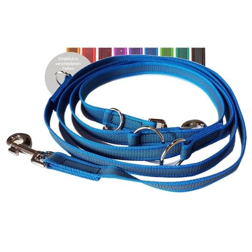 Taglory Starke Hundeleine mit Bequemen Gepolsterten Griff, 1.5M Reflektierend Trainingsleine für Klein Mittel Große Hunde, Blau 3 Activity4Dogs Hundeleine Nylon Anti-Slip rutschfest, 2,80 m lang, 4-Fach verstellbar, Multileine, für mittelgroße und große Hunde, in Mehreren Farben lieferbar, Made IN Germany (2,80 m, blau)