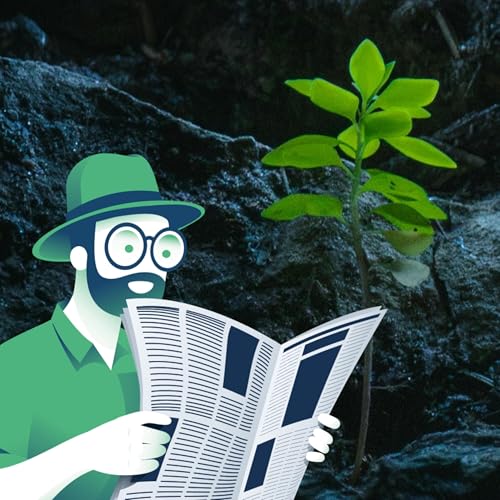 Revue de Presse Capitaine Carbone #192 - 27 f&eacute;vrier 2026