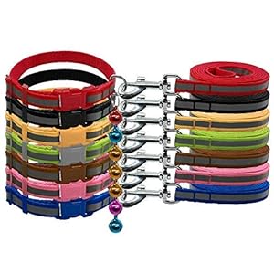 PSK Reflective Safety Nylon Pets 3/4