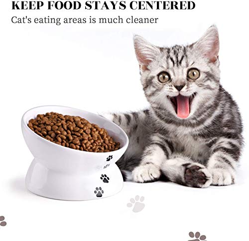 Y YHY Cat Bowl Anti Vomiting, Raised Cat Food Bowls, Tilted Elevated Cat Bowl, Ceramic Pet Food Bowl for Flat Faced Cats… - Image 5
