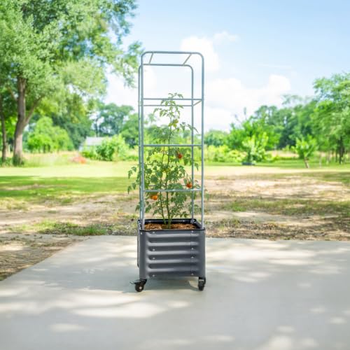 Image of Vego garden Classic Rolling Cube Tomato Planter with Metal Cage & Wheels, 30 Gallon Rolling Planter for Tomatoes, Peppers & Beans, 21 inch x 21 inch x 19 inch, 54 inch Plant Support Cage-Modern Gray