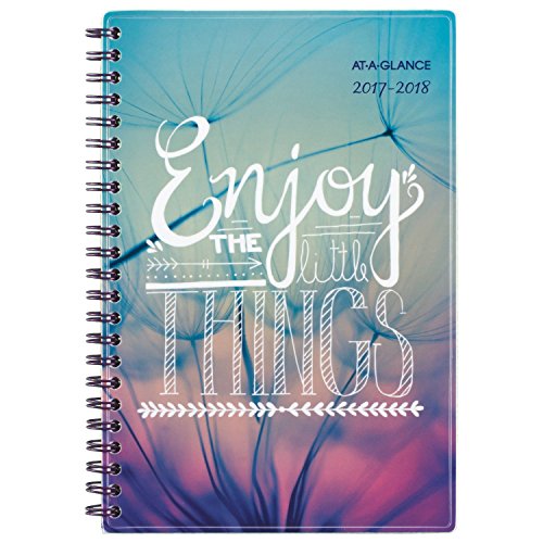 AT-A-GLANCE Academic Weekly / Monthly Planner, July 2017 - June 2018, 4-7/8