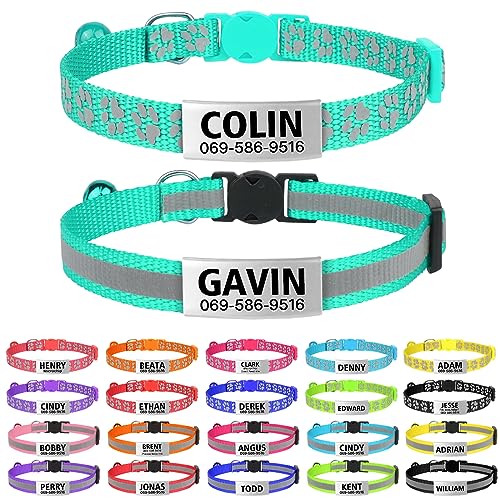 10 MustHave Personalized Reflective Cat Collars Safety and Style