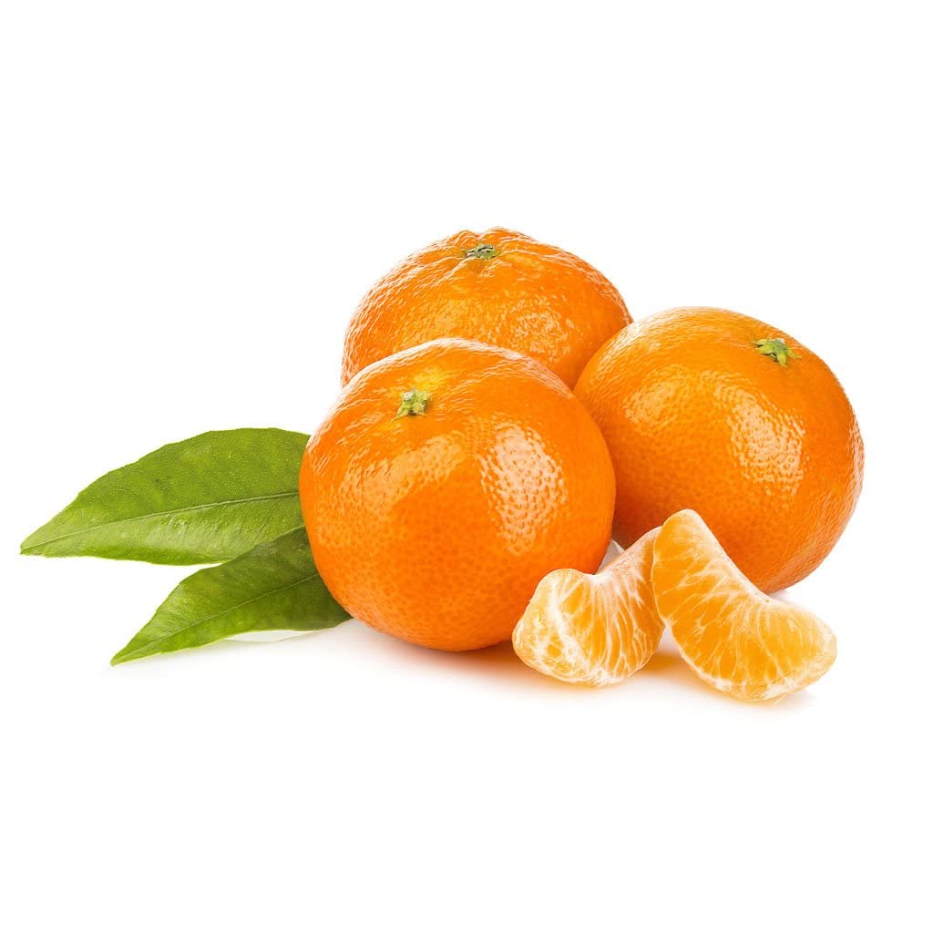 Verdecora Mandarino Árbol cítrico en maceta de 5L | Citrus Reticulata | Para plantar en huerto o jardín | Frutas abundantes | Planta natural de exterior (Mandarino)