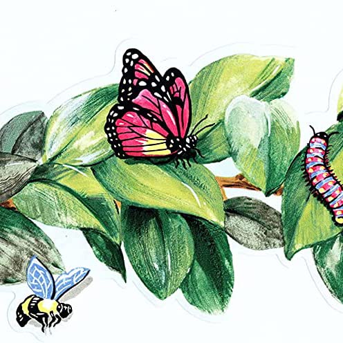 Concord BH1853B Frise murale Motif feuilles papillons abeilles libellules pour salle à manger, ferme, multicolore, bord double face, 15,2 x 4,5 m