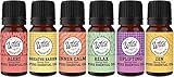 Synergy Blend Aromatherapy Essential Oil Gift Set 100% Pure Therapeutic Grade 6SB