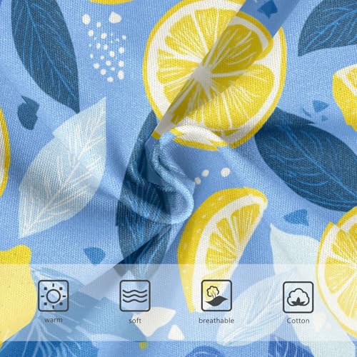 Wusikd Lemon Blue Girls' Underwear Cotton Girls Briefs Soft Toddler Underwear 2T3