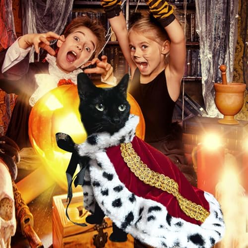 Capa para perro King Halloween y Navidad tamaño Small miniatura 4