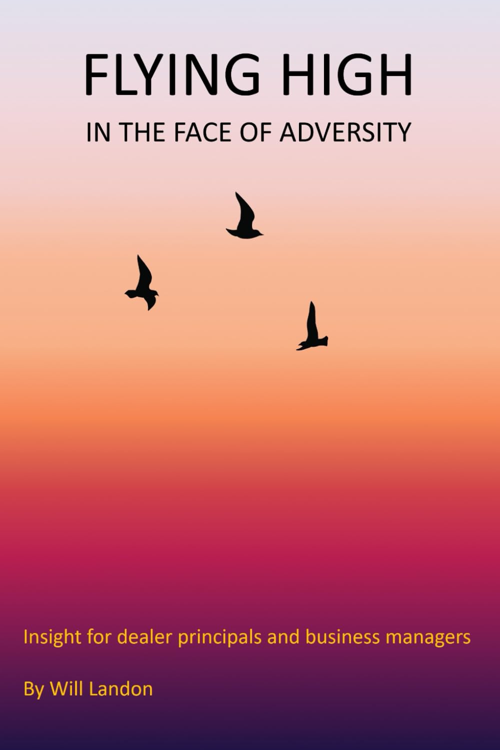 Flying High In The Face Of Adversity: Insight for dealer principals and business managers