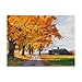 Trademark Fine Art Golden Maples by Michael Davidoff, 24x32-Inch