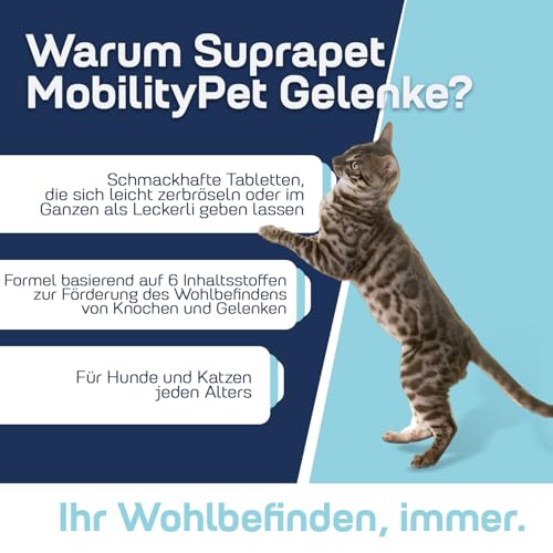 Suprapet MobilityPet für Hunde und Katzen - Unterstützung für Knochen und Gelenke - Mit Boswellia, Glucosamin, Chondroitin, MSM, Teufelskralle, Vitamin C. (90 Tabletten à 1g)