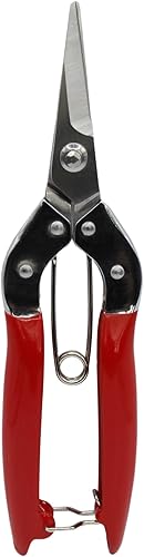Tijeras de jardín de acero inoxidable - Cortador de plantas podadoras manuales - Herramienta de jardín para recortar, dar forma y cabeza muerta -