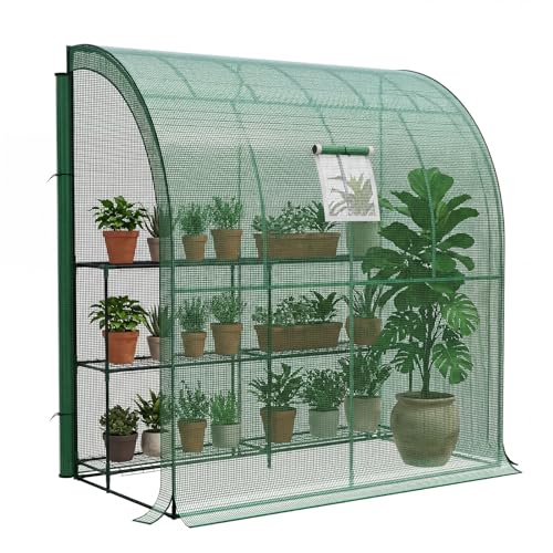 LARMNEE Wandseitiges Gewächshaus Tomatengewächshaus mit 2 Rolltüren 200 x 100 x 210 cm PE Foliengewächshaus Tomatenhaus für Blumen Gemüse und Pflanzen Balkon Garten und Terrasse Grün EGN72GH02