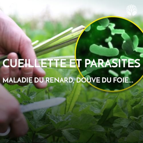 Parasites et cueillettes