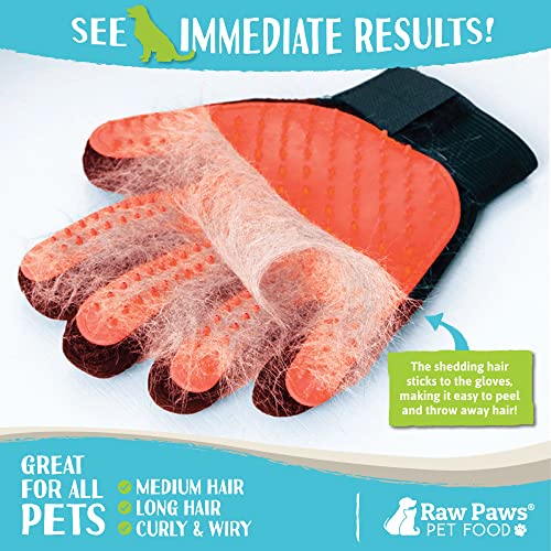 Raw-Paws-Grooming-Gloves-2-ct-Soft-Tip-Pet-Grooming-Gloves-for-Dogs-Cats-Horses-Cat-Deshedding-Glove-Cat-Gloves-for-Grooming-Dog-Deshedding-Glove-Cat-Grooming-Gloves-Dog-Brush-Glove - Cucciolini Doodles   Raw-Paws-Grooming-Gloves-2-ct-Soft-Tip-Pet-Grooming-Gloves-for-Dogs-Cats-Horses-Cat-Deshedding-Glove-Cat-Gloves-for-Grooming-Dog-Deshedding-Glove-Cat-Grooming-Gloves-Dog-Brush-Glove