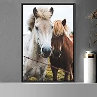 Framed Canvas Wall Art Two Horses Animals Dramatic Farmhouse/Country Horse Living Room Multicolor Photography - 16x24 inches