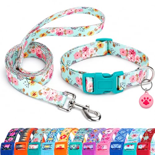 SLZZ Collier pour Chien avec Laisse Étui Porte Airtag - Colliers pour Chiens Mâle Femelle Garçon Fille Chiot X-Petit Petit Moyen Grand Chiens Marche Course...