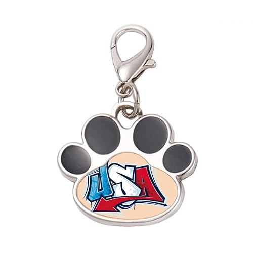 DIYthinker?USA American Style Words Graffiti Pet Tag Keychain Dog Cat ID