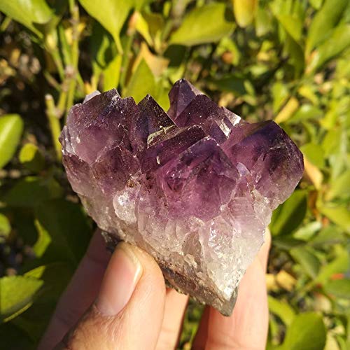 Espécimen de racimo de Amatista de Cuarzo de Cristal de geoda de Amatista Natural de Uruguay Inicio Colecciones