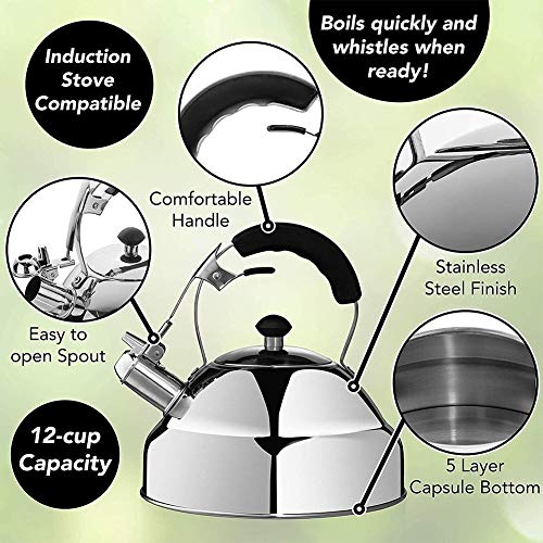 Bouilloire pour une cuisson plus rapide théière en acier inoxydable sifflet