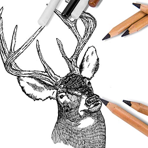 12 Pack General Sketch Pencil Charcoal Colorful Pencils Colored Highlight Pen Drawing and Sketching Pencil Art Supplies Charcoal Stick Wooden Colored Pencils for Artist and Beginner Art Projects