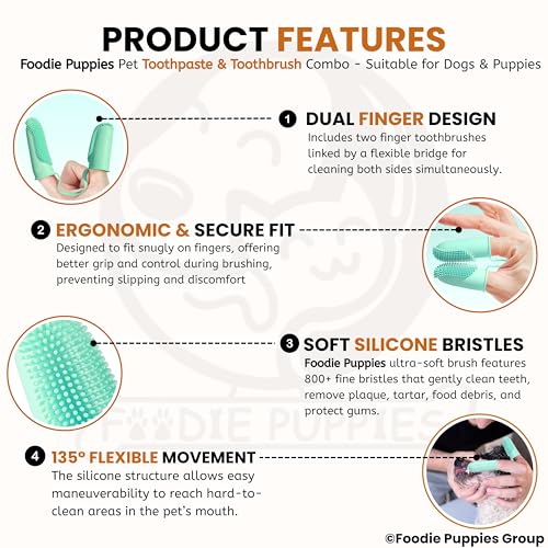 Image of Foodie Puppies Dental Care Combo for Dogs and Cats - (Couple Toothbrush and Vanilla Ginger Toothpaste, 100gm) Fresh Breath Formula I Soft Bristles for Easy Dental Care Toothbrush for Small Pets