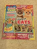 Animal tales magazine November 2019 the coolest cats in the world