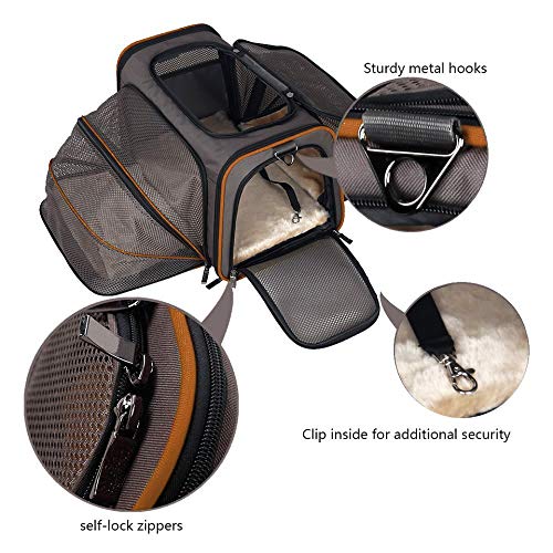Best Wheeled Cat Carriers (2022) Cats Patrol