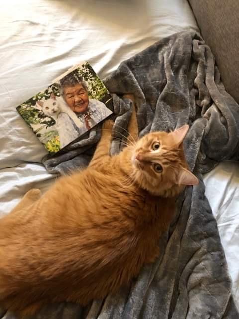 It’s beautiful and is also OJ approved (the cat)