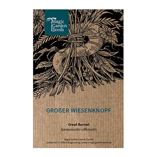 Großer Wiesenknopf (Sanguisorba officinalis) 100 Samen