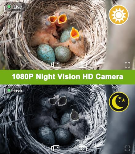 Birdfy Smart Vogelhaus Mit Doppel-Kamera – 1080P Live-Stream, Nachtsicht, KI-Analyse Für Vogelbeobachtung