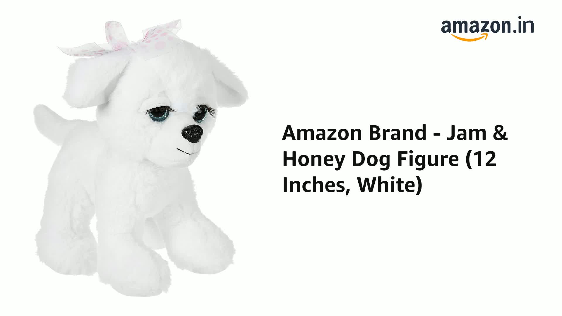 amazon dog stuff