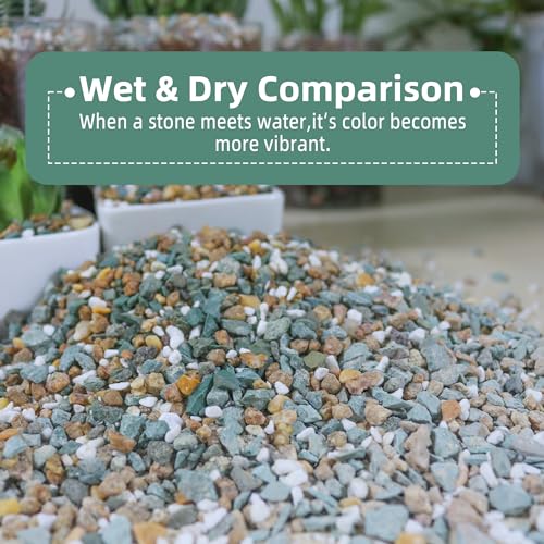 Image of 18lb Mix Rocks for Plants in Door -Mix Perlite,Maifanitum Stones,Zeolites Rocks for Bonsai Succulent Cactus Potting Soil and Vase Fillers, Fairy Gardening,Top Dressing