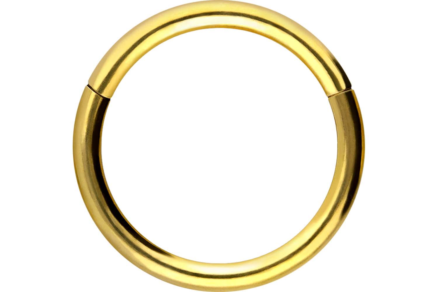 PIERCINGLINE Anillo segmento Clicker de acero quirúrgico – Piercing en oro, plata, rosa, negro o azul – para nariz, tabique, oreja, hélice o tragus — view 45